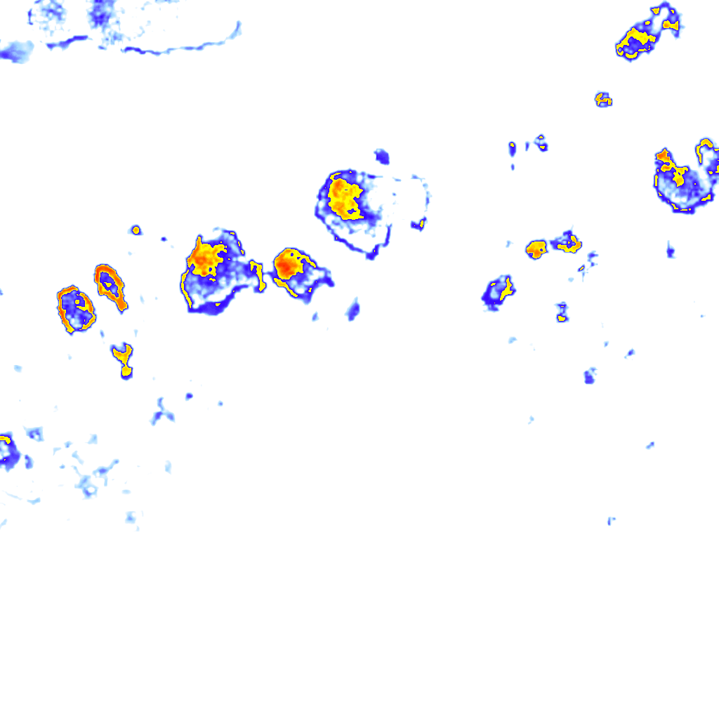 Image Layer
