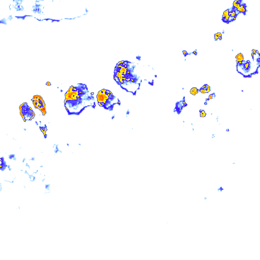 Image Layer