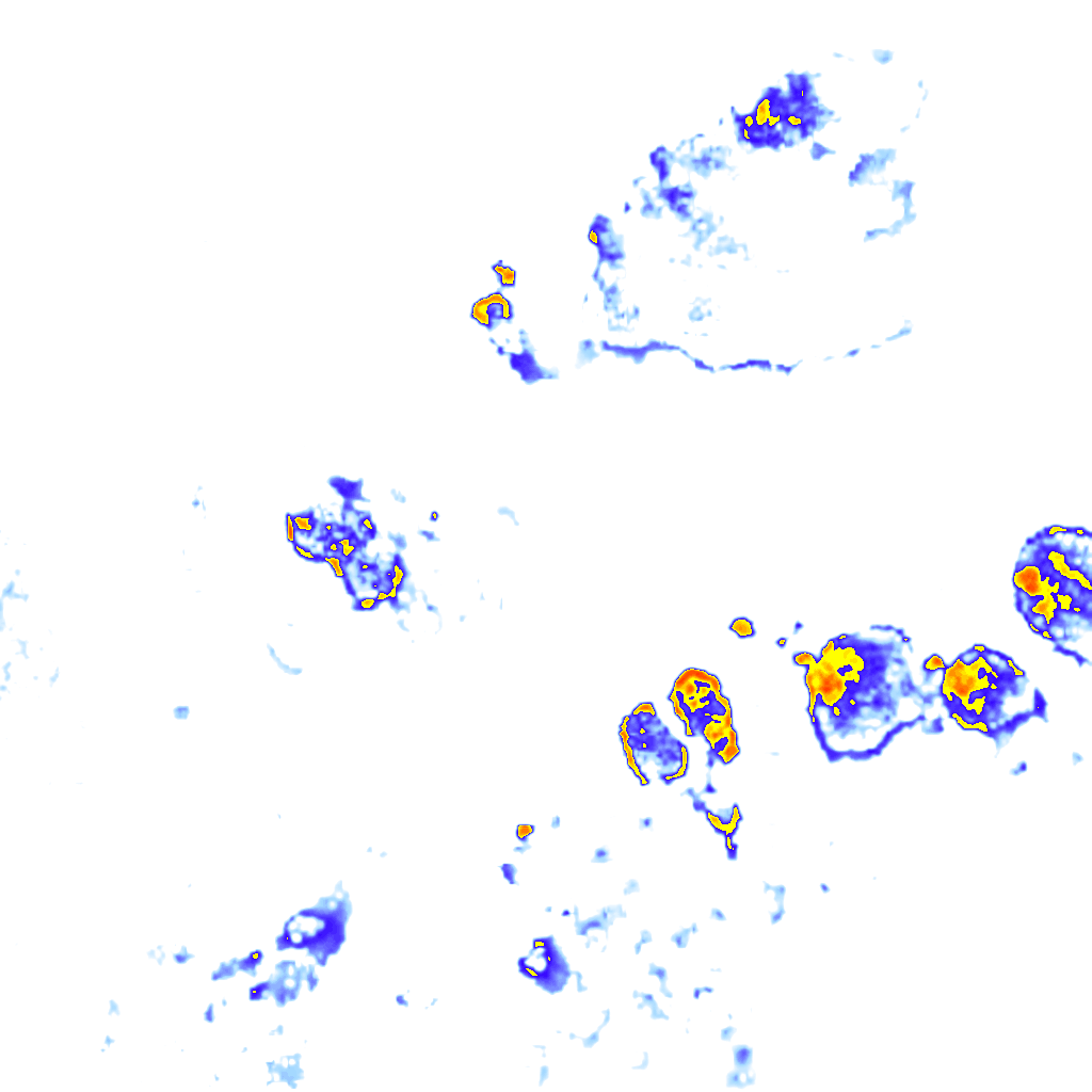Image Layer