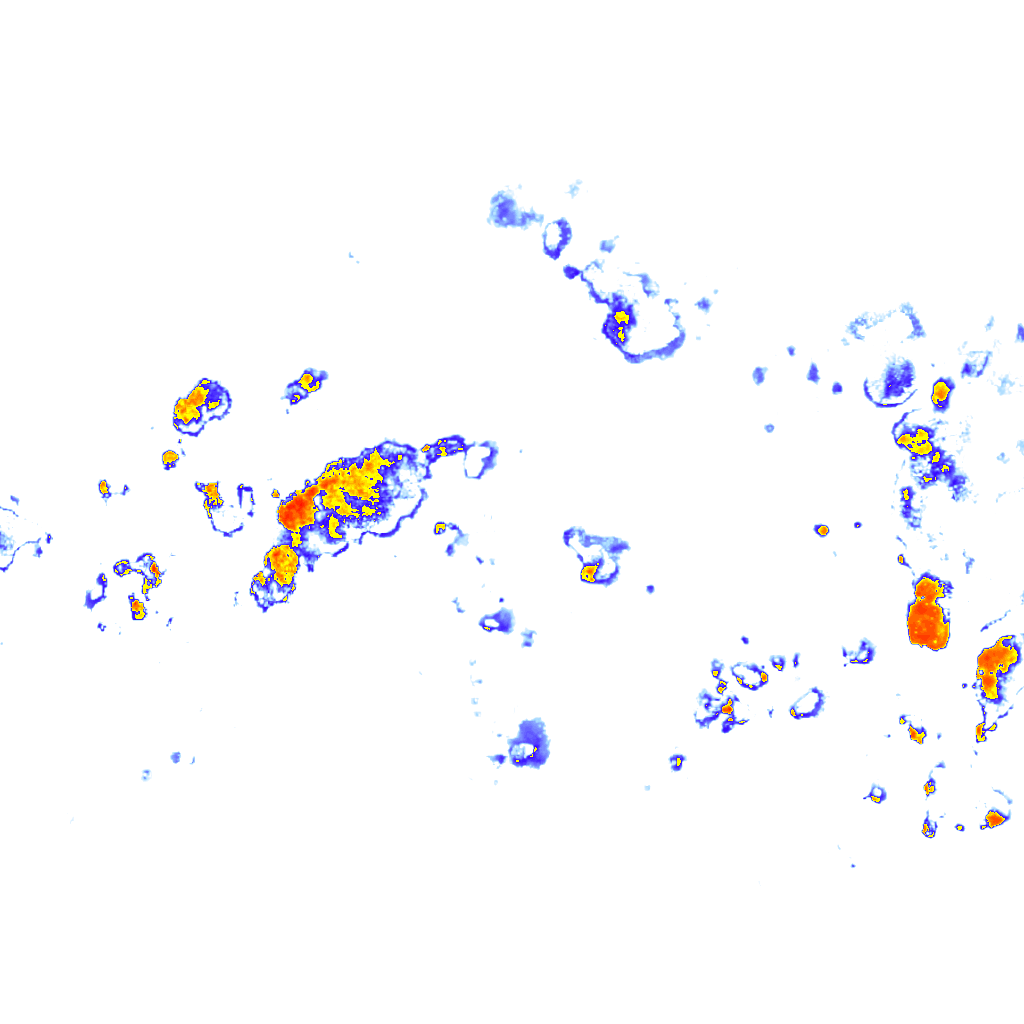 Image Layer
