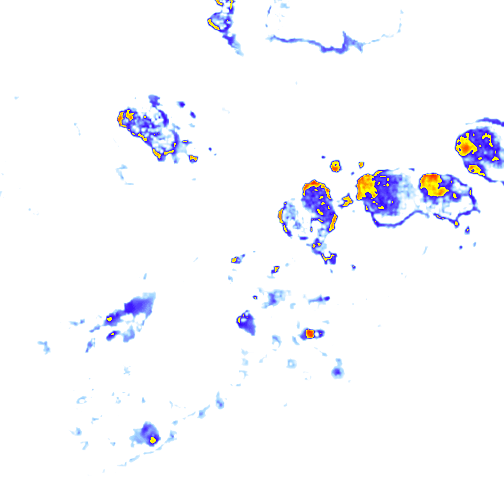 Image Layer