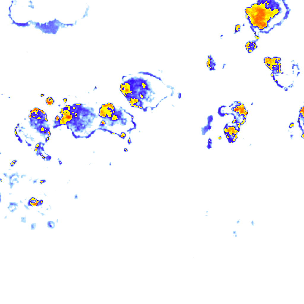 rainLayer