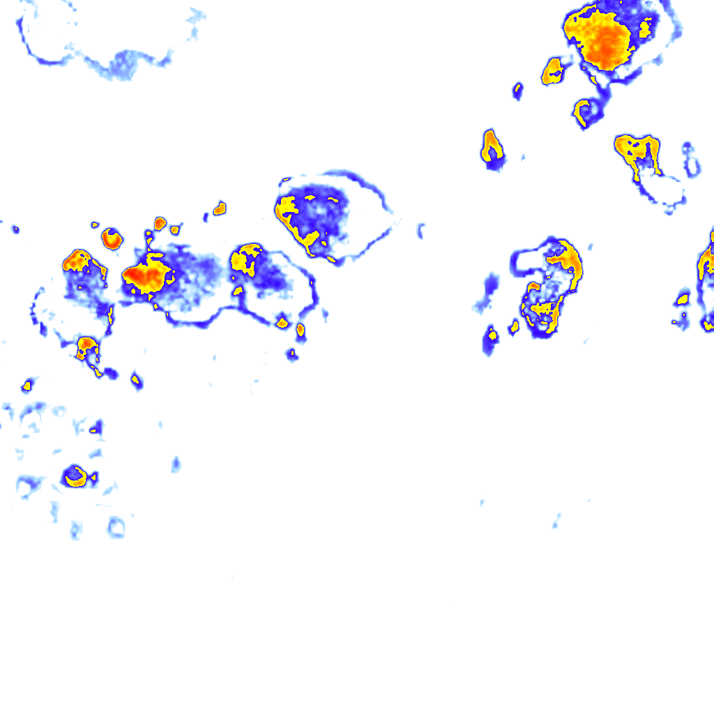 Image Layer