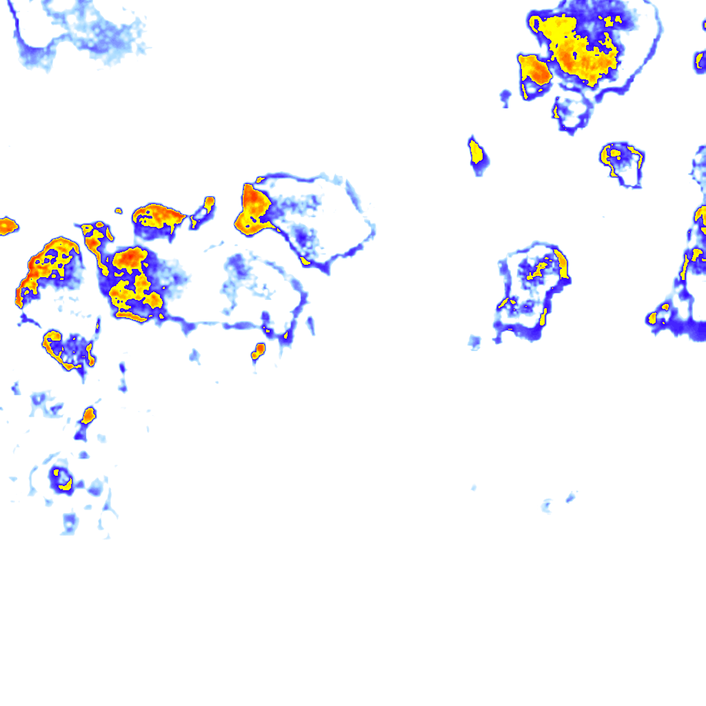 rainLayer