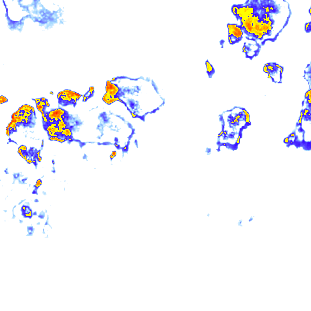 rainLayer