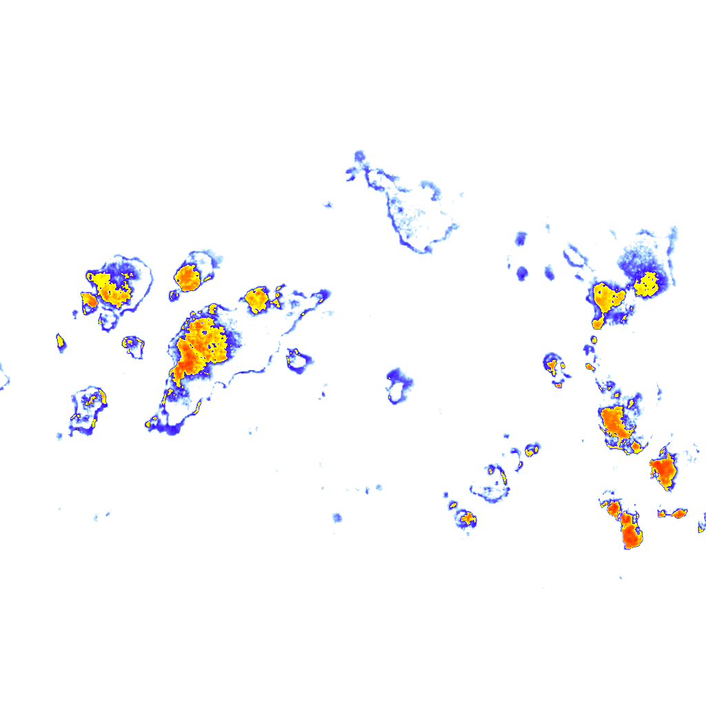 rainLayer