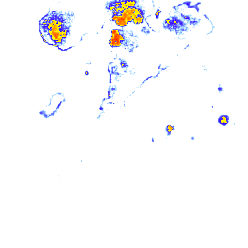 rainLayer