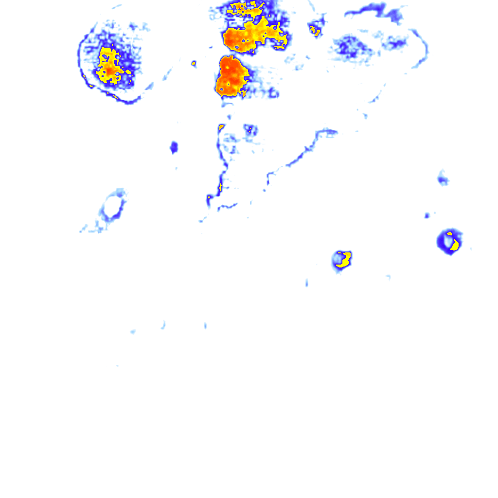 Image Layer