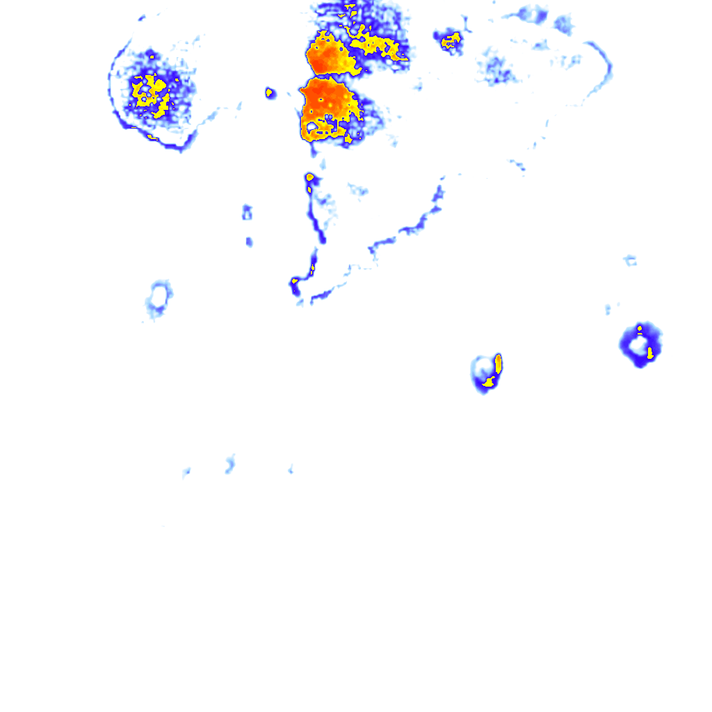 Image Layer