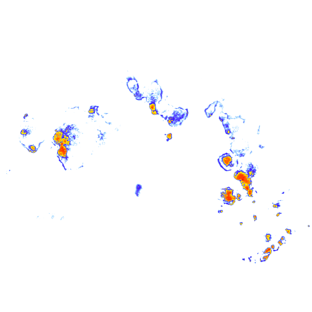 Image Layer
