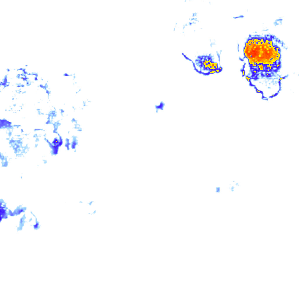 Image Layer