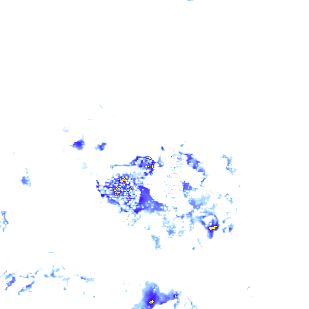 rainLayer