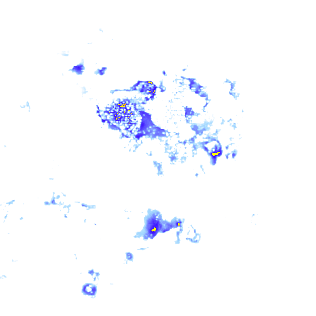 Image Layer