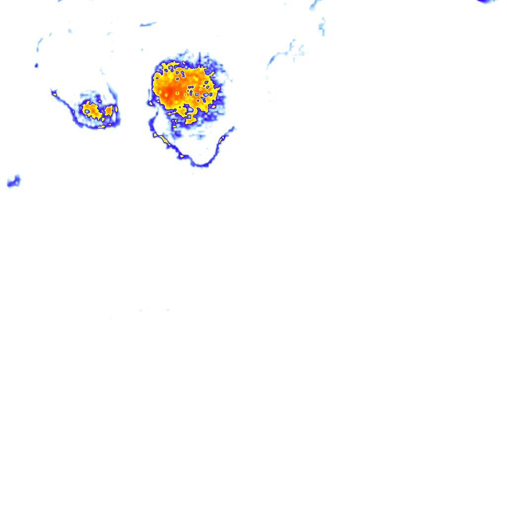 Image Layer