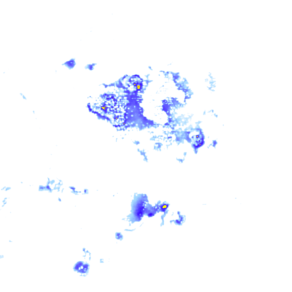rainLayer