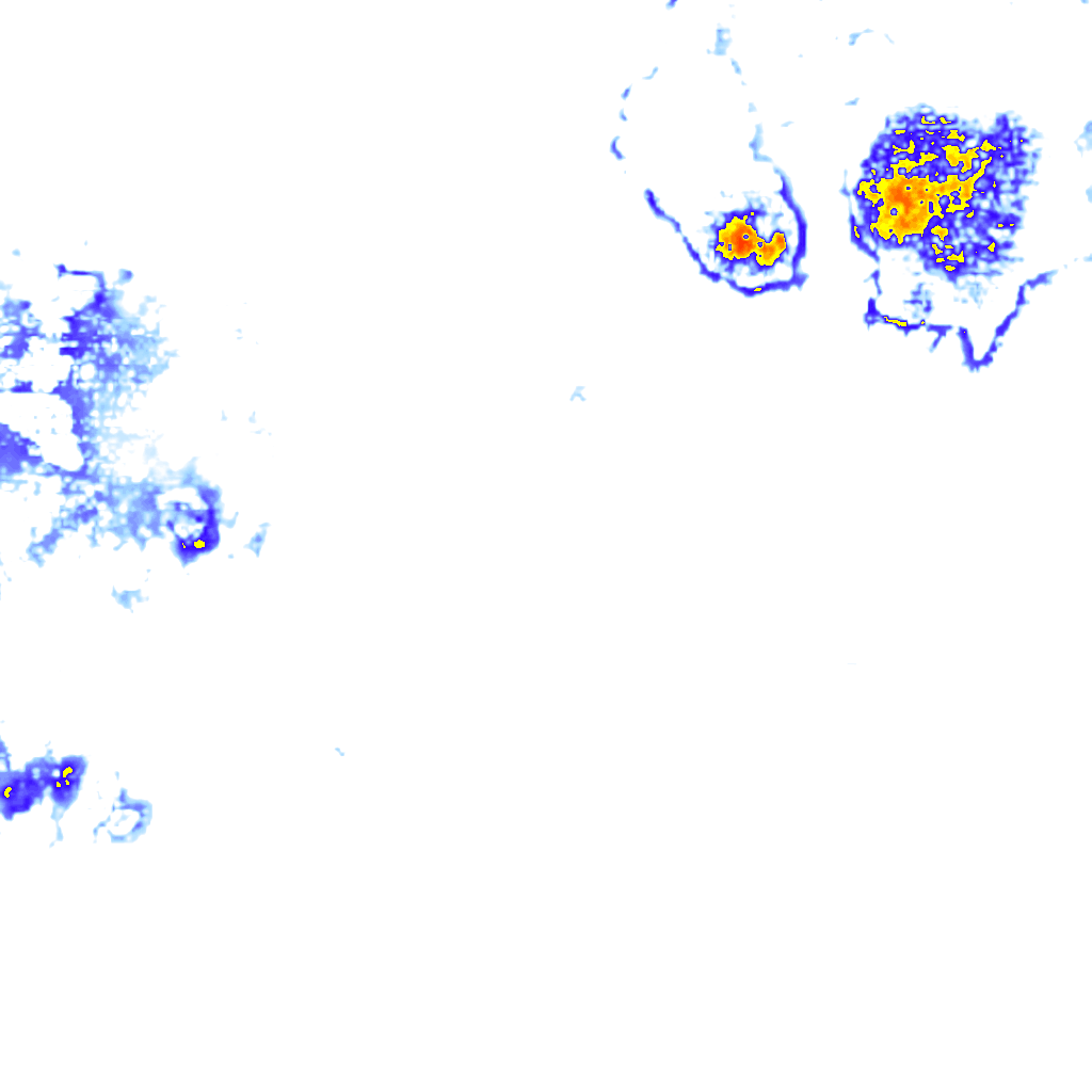 Image Layer