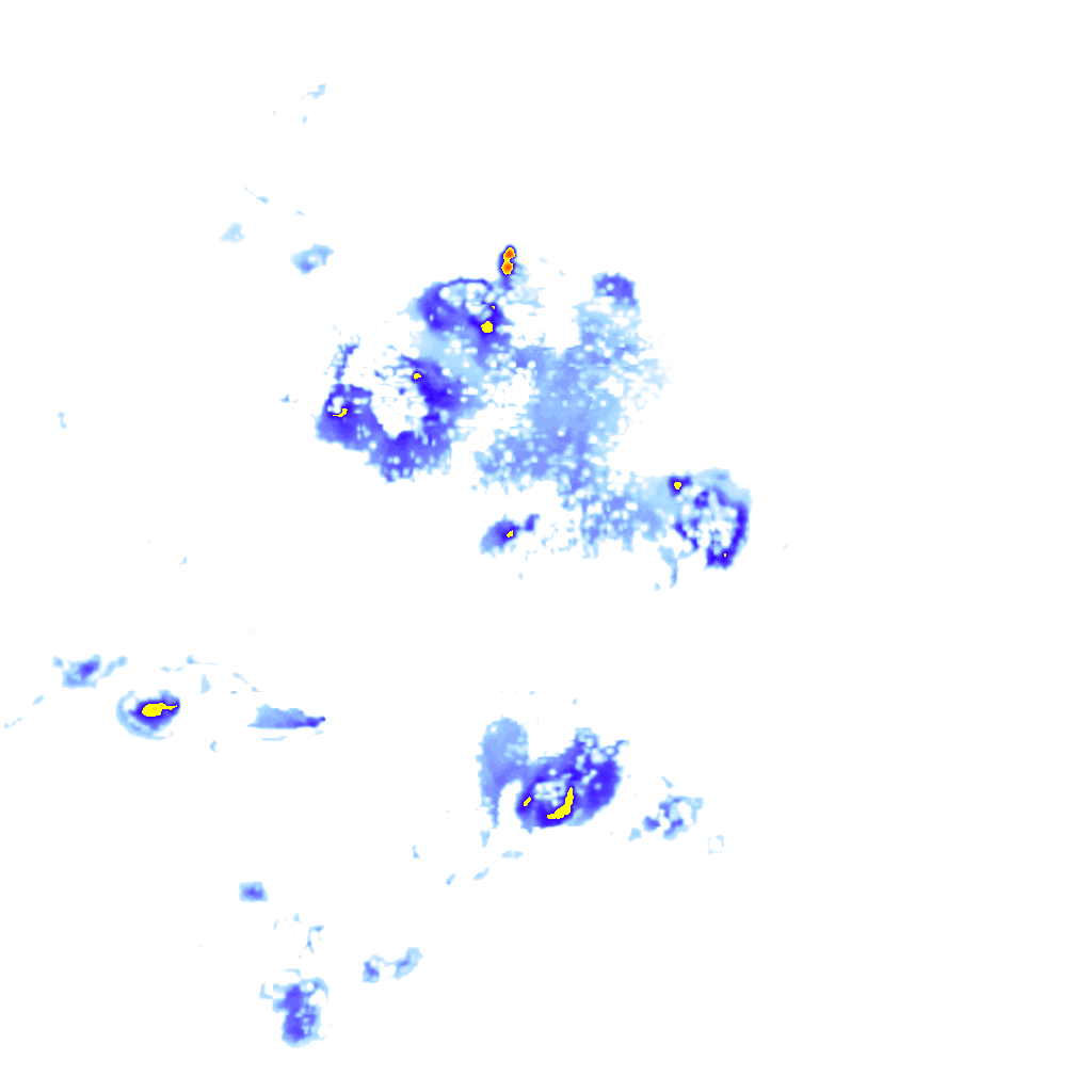 rainLayer