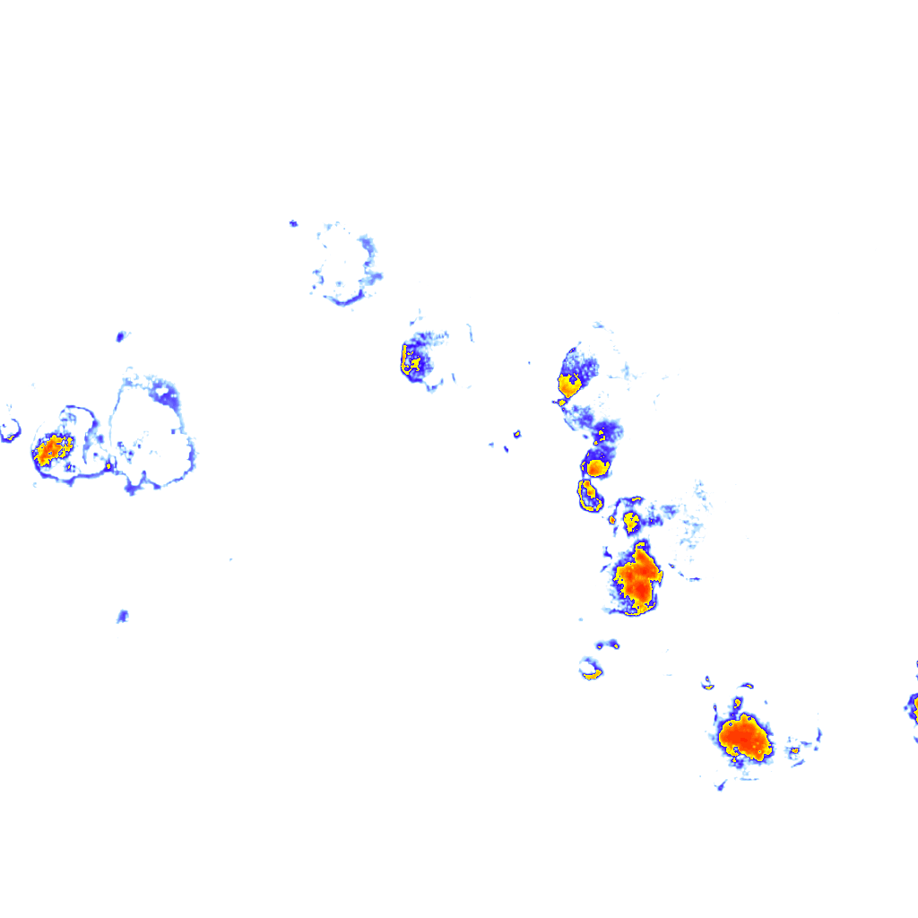 Image Layer