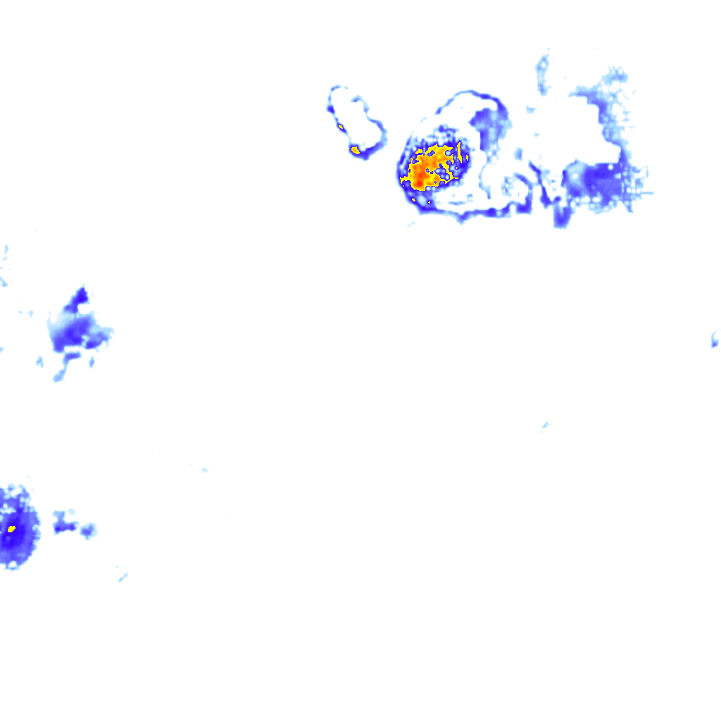 Image Layer