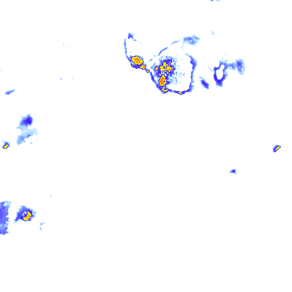 rainLayer
