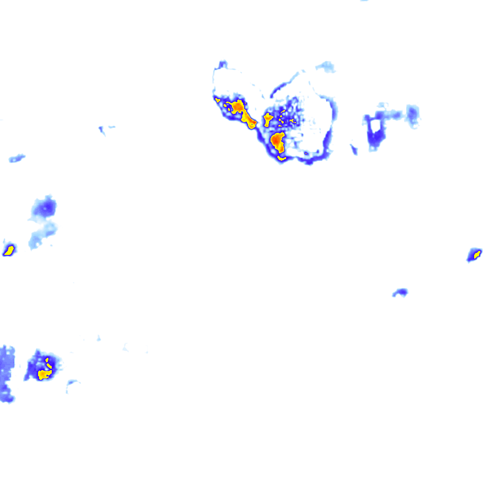Image Layer