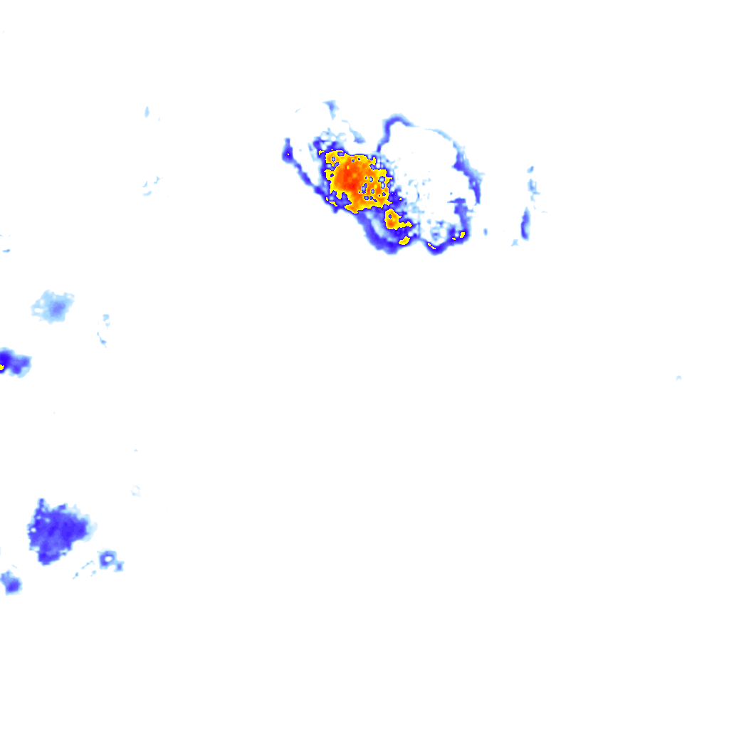 Image Layer