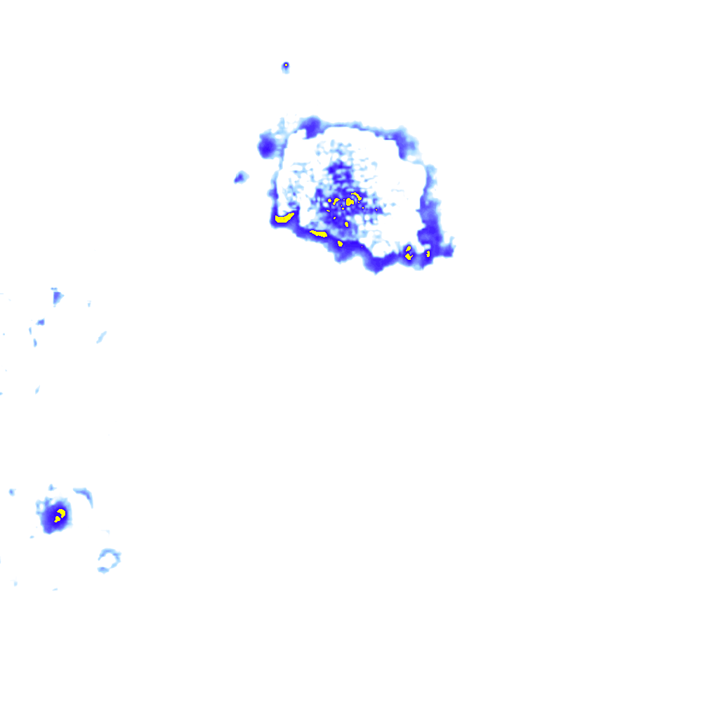 rainLayer
