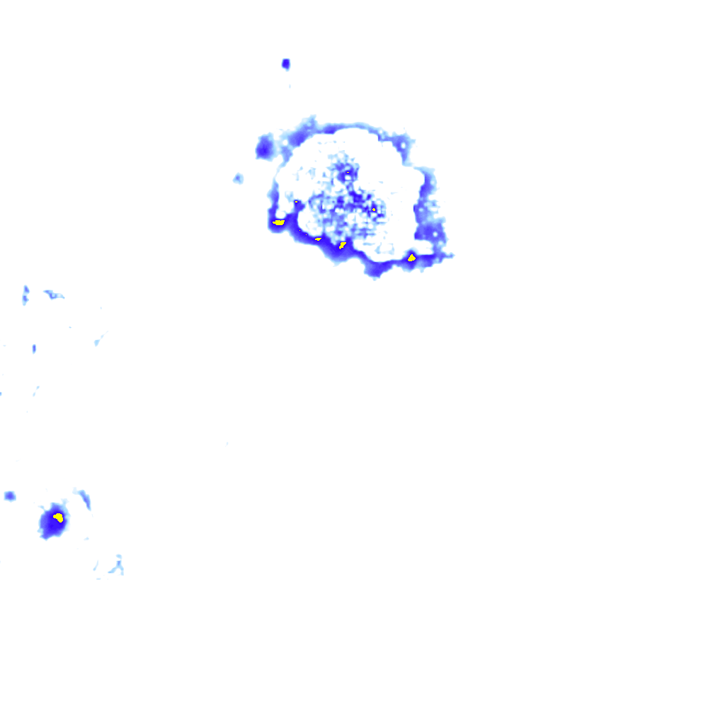 Image Layer