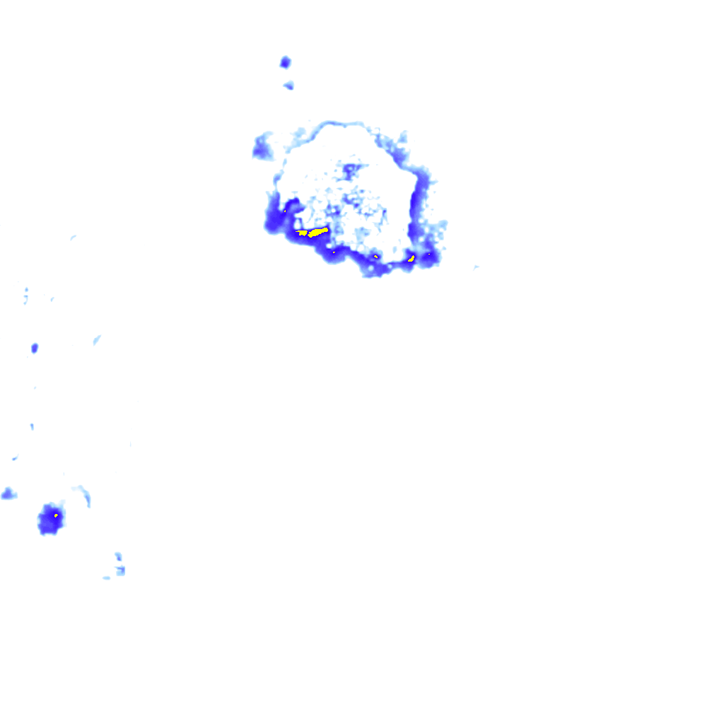 Image Layer