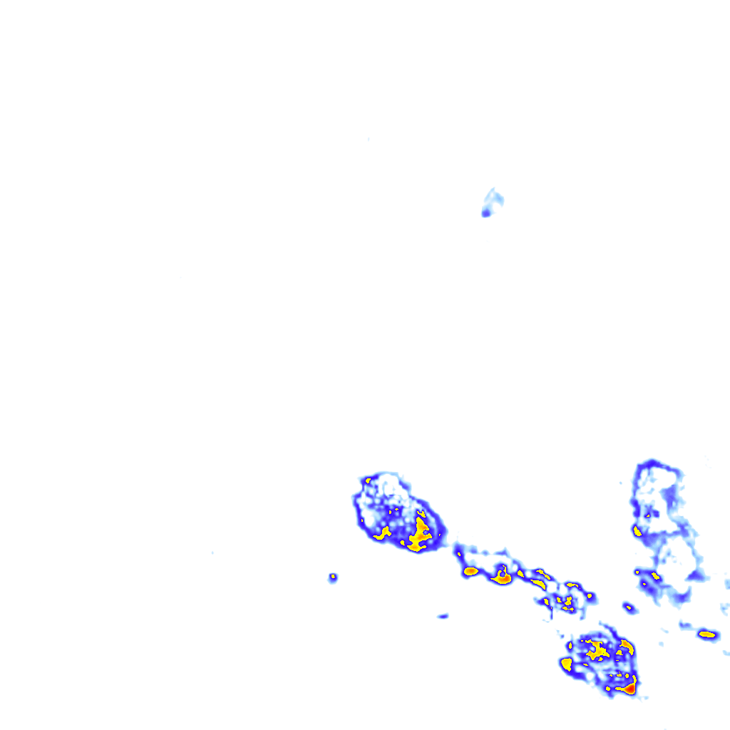 rainLayer
