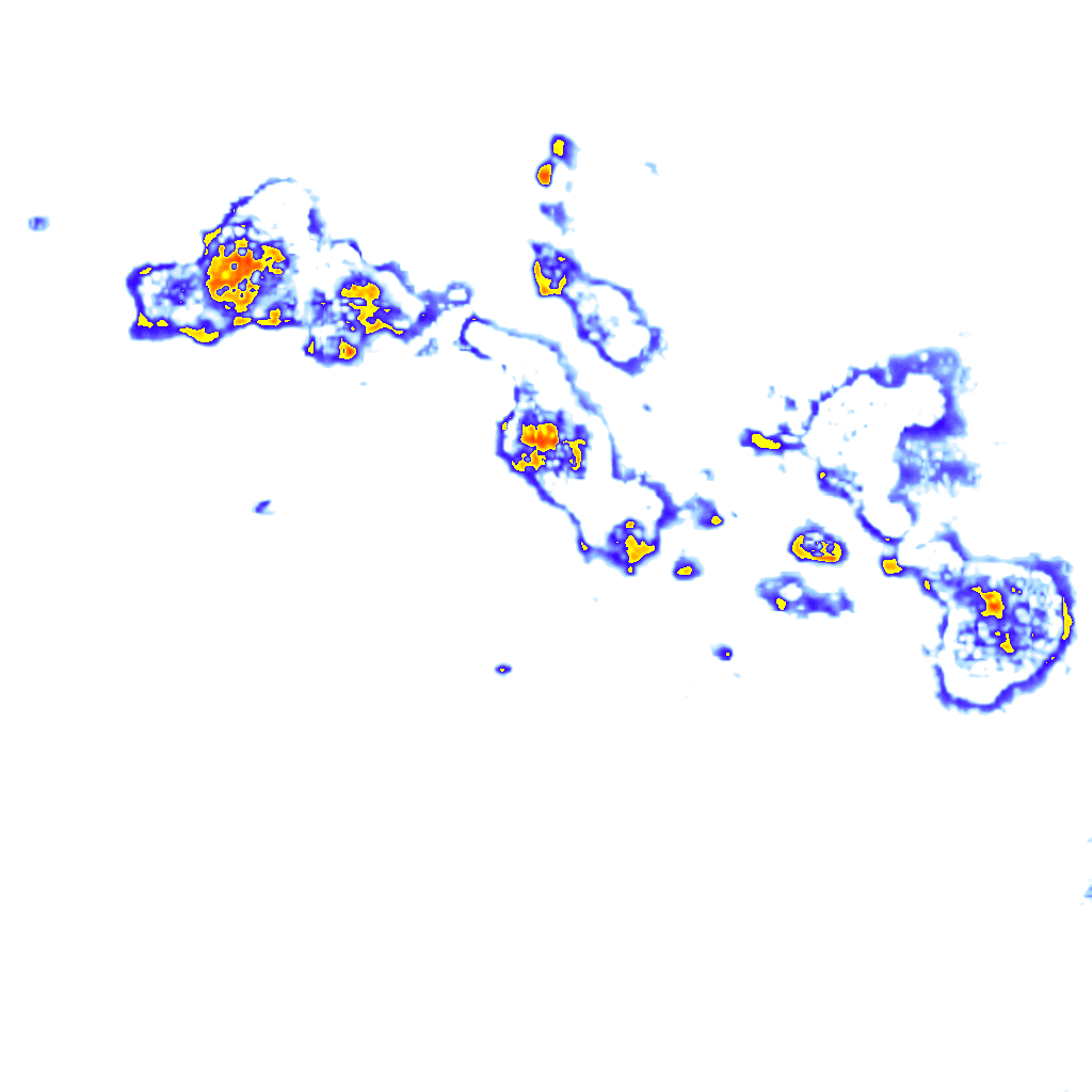 Image Layer