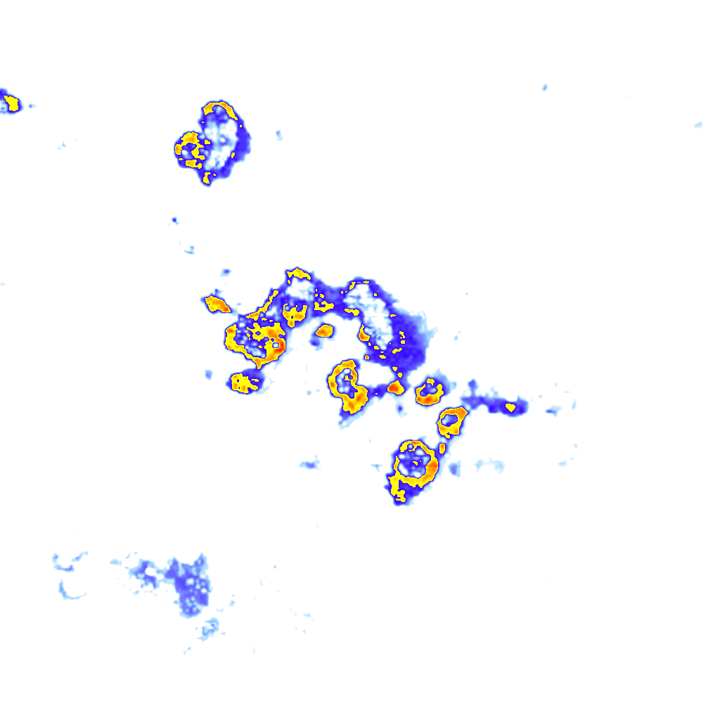 rainLayer