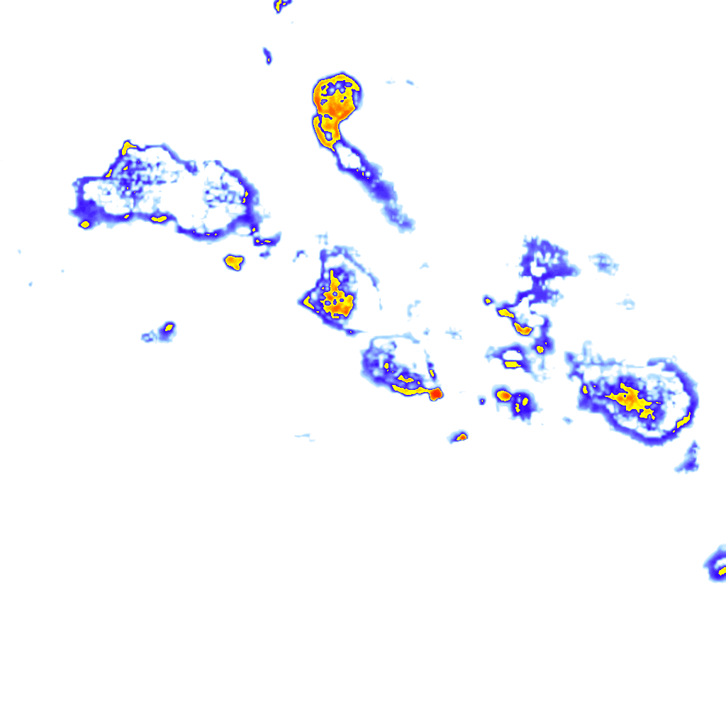 Image Layer
