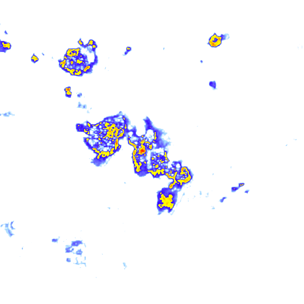 Image Layer