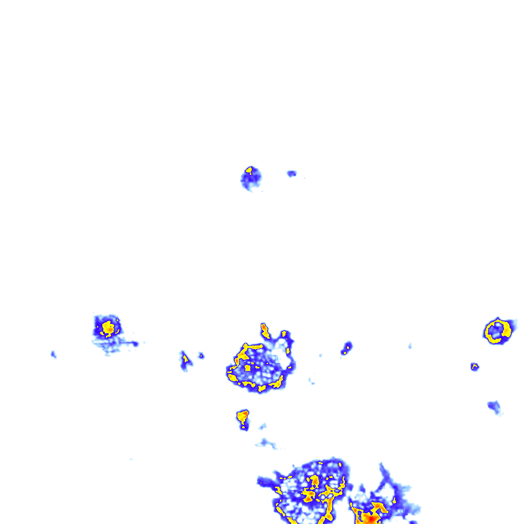 Image Layer