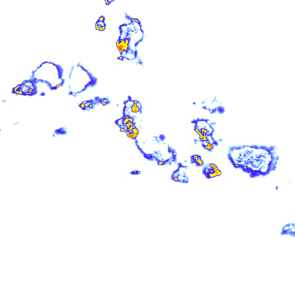 Image Layer