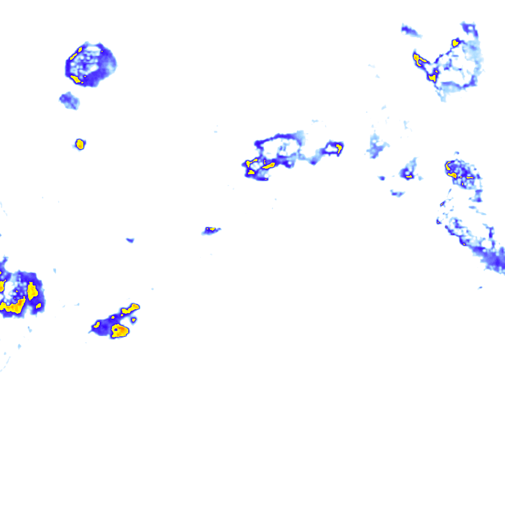 rainLayer