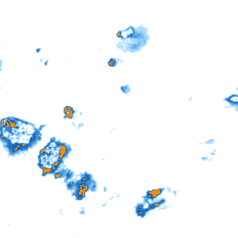 rain layer