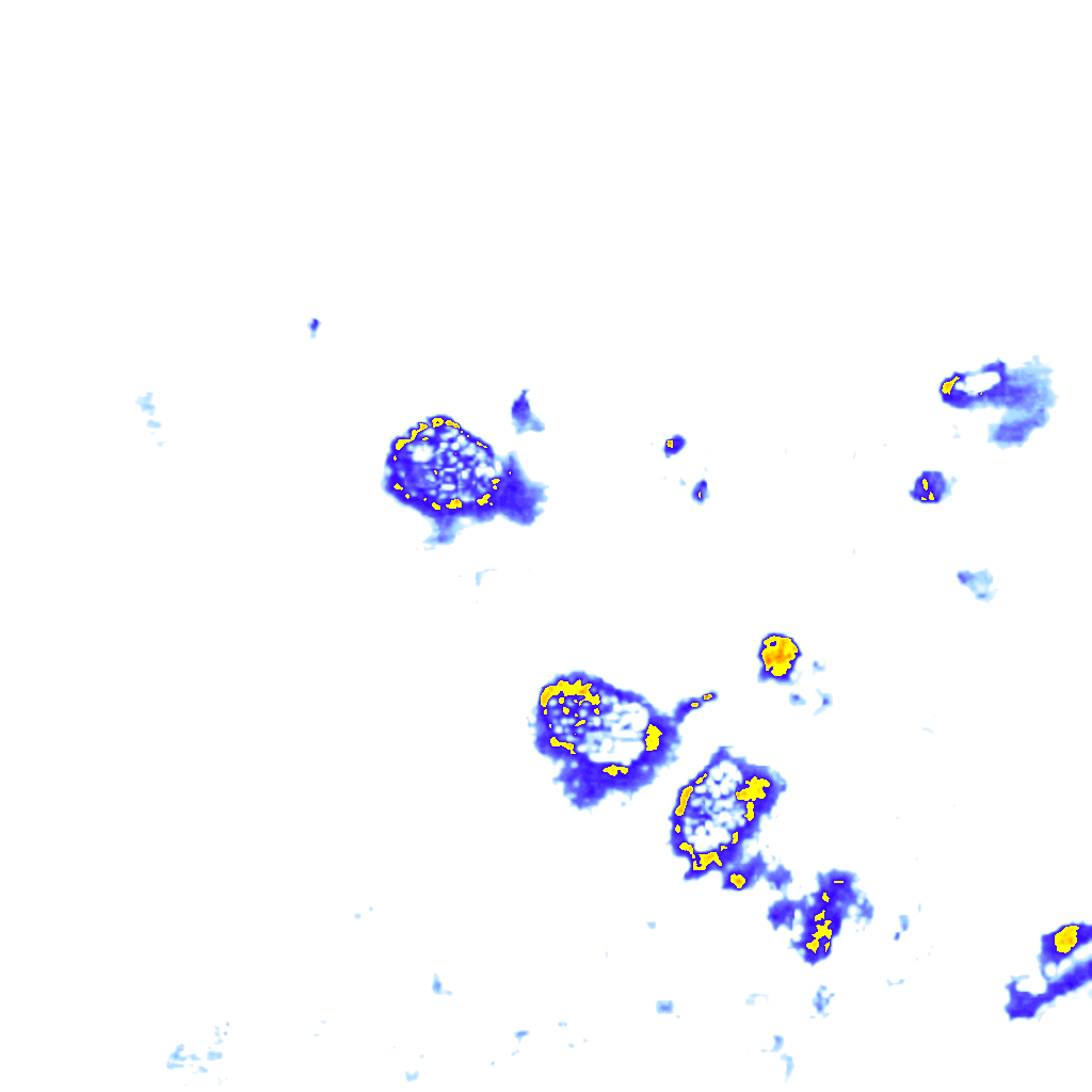 Image Layer
