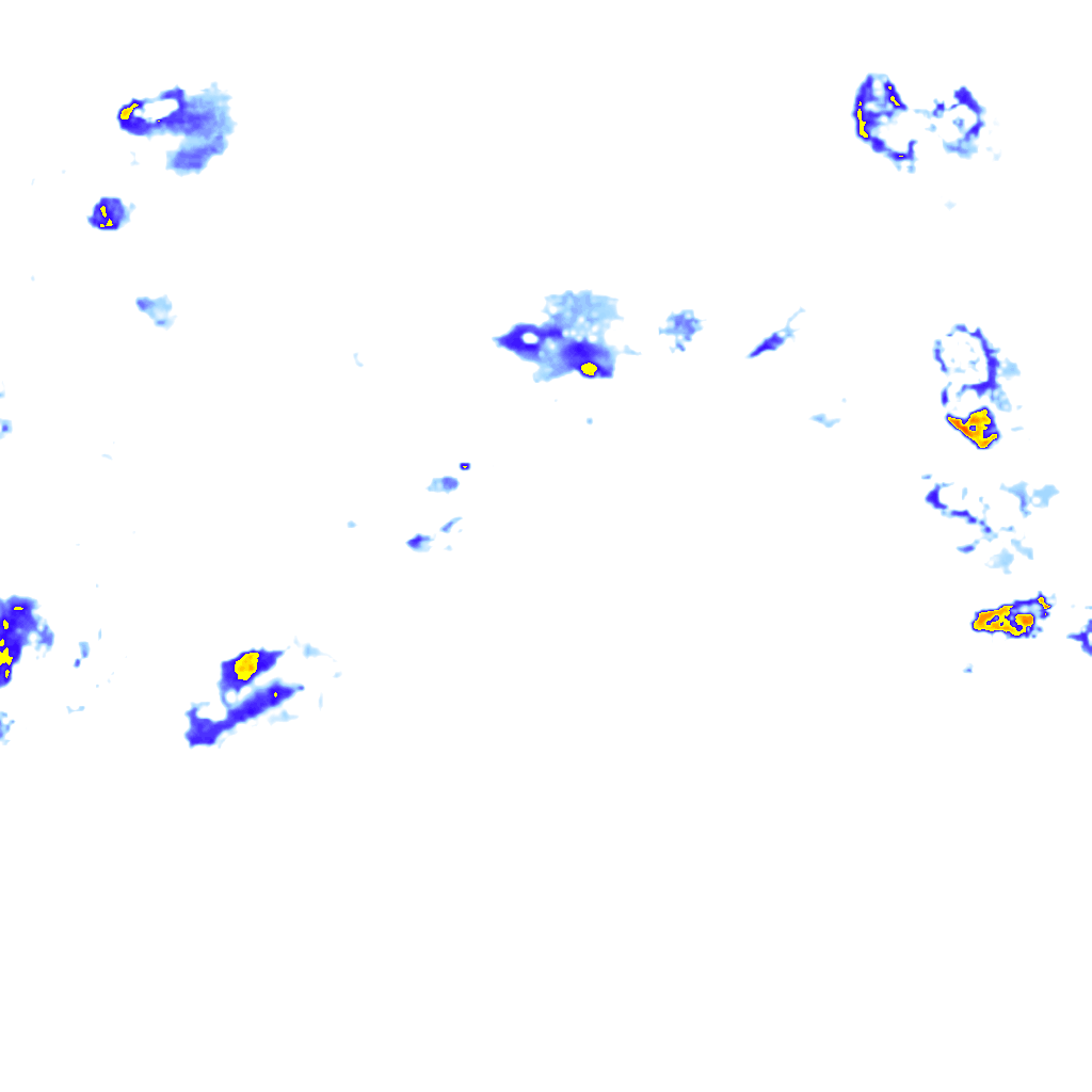 rainLayer