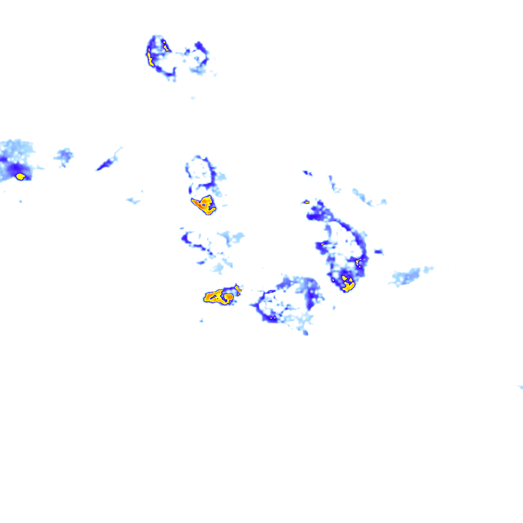 Image Layer