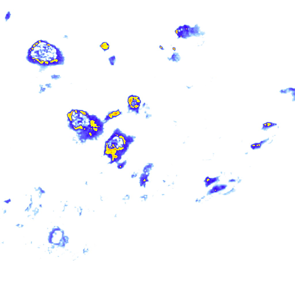 Image Layer