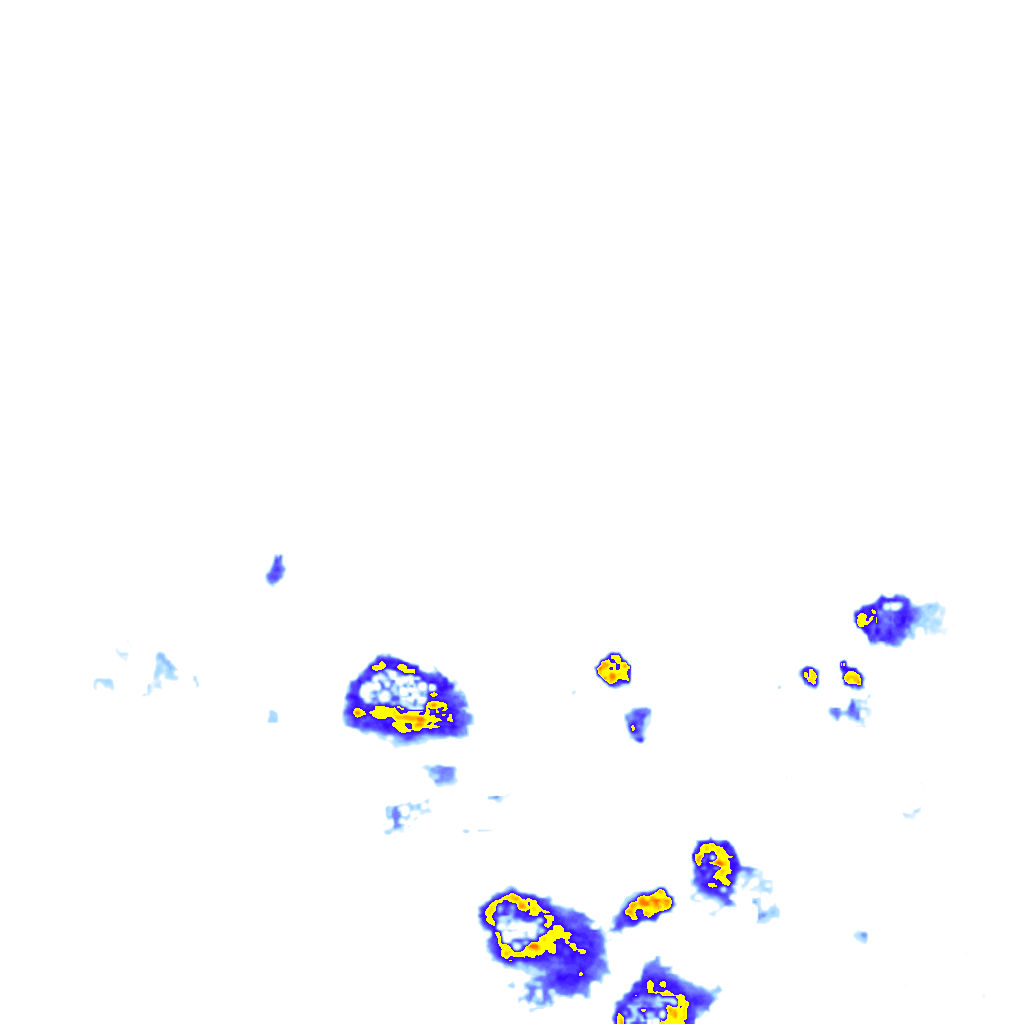 rainLayer