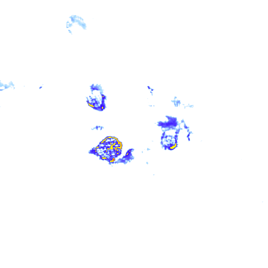 Image Layer