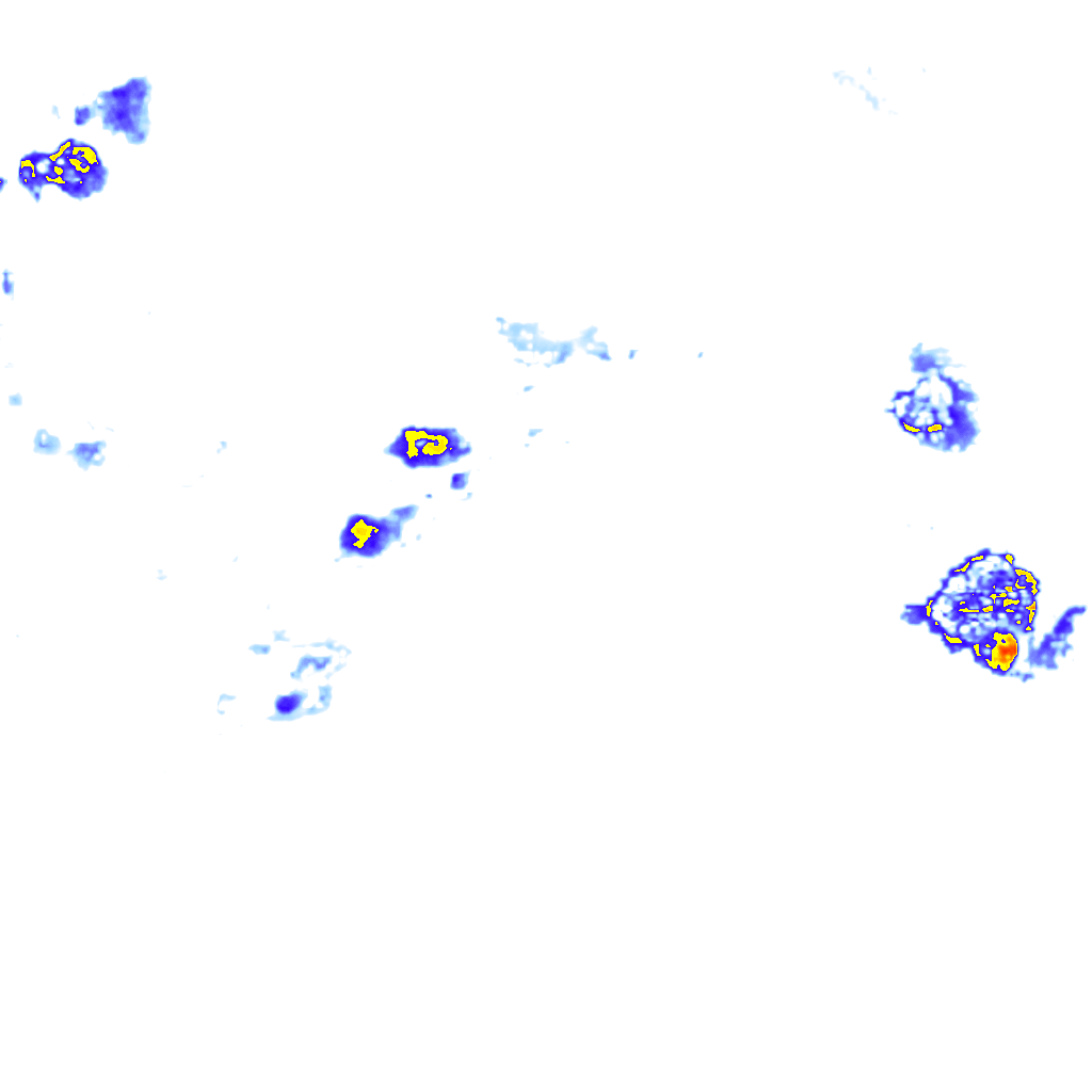 Image Layer