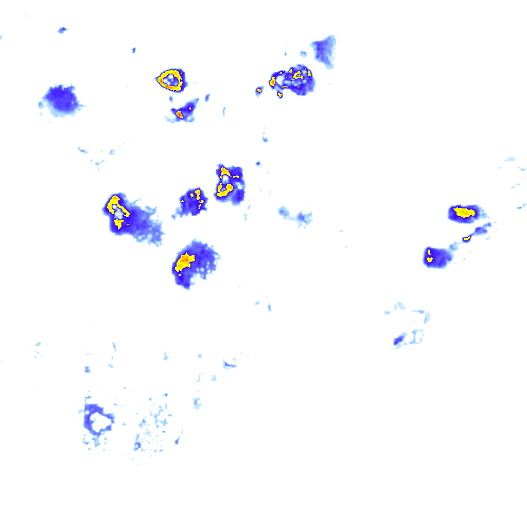 Image Layer