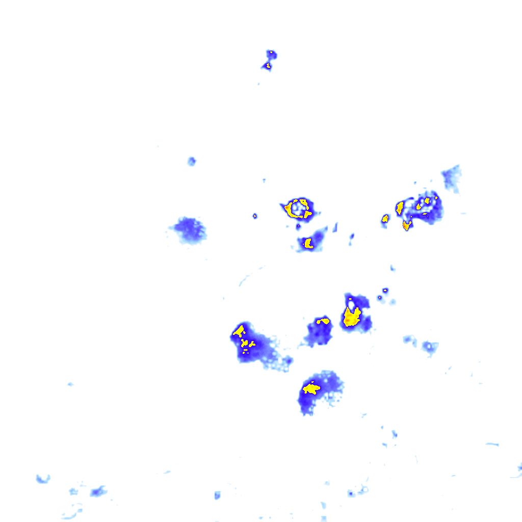 Image Layer