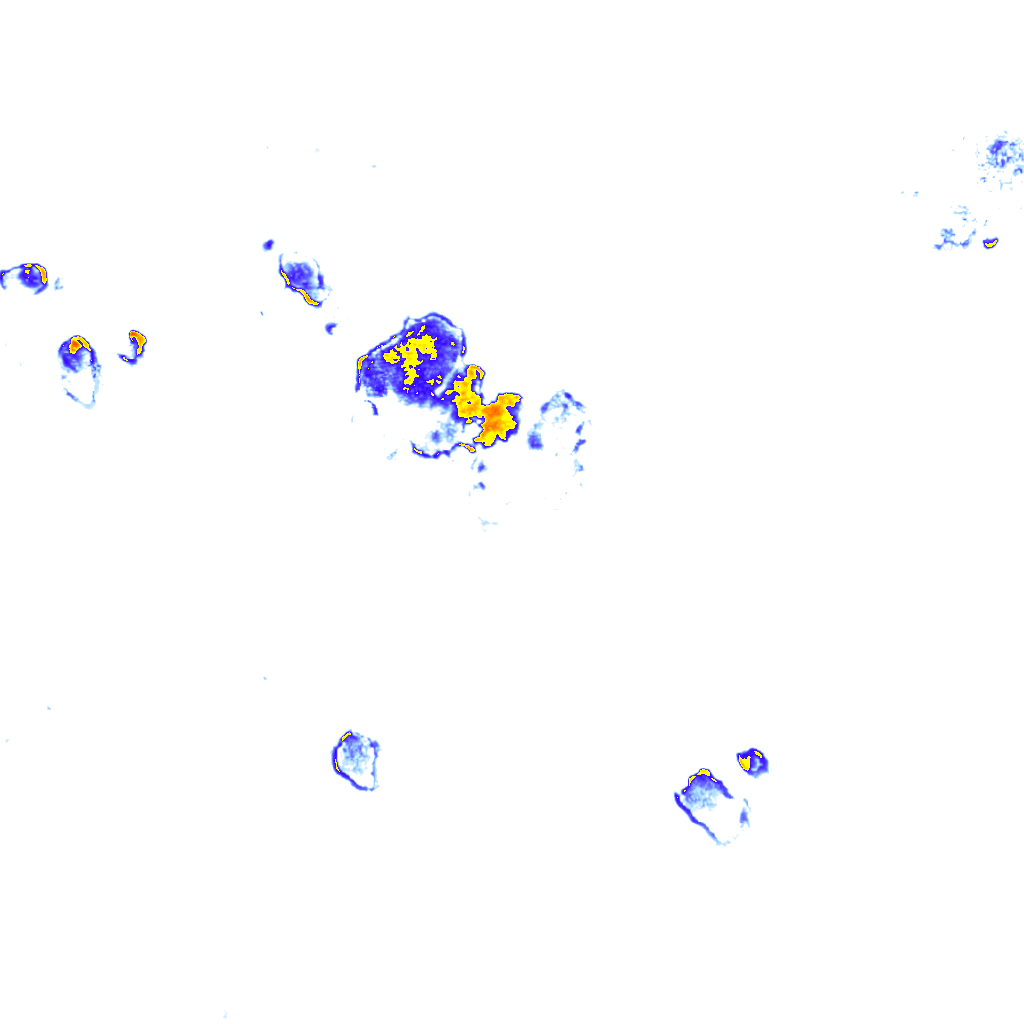 rainLayer