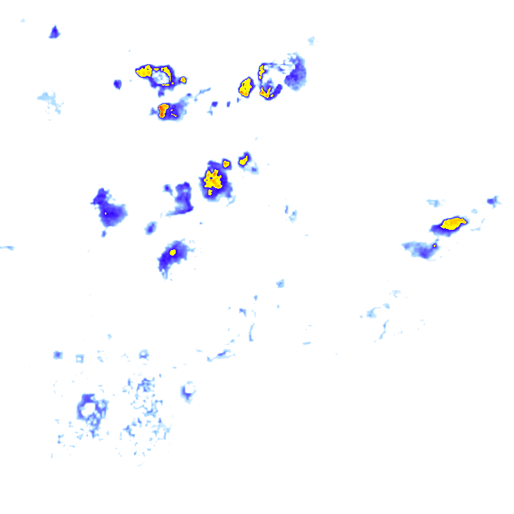 rainLayer