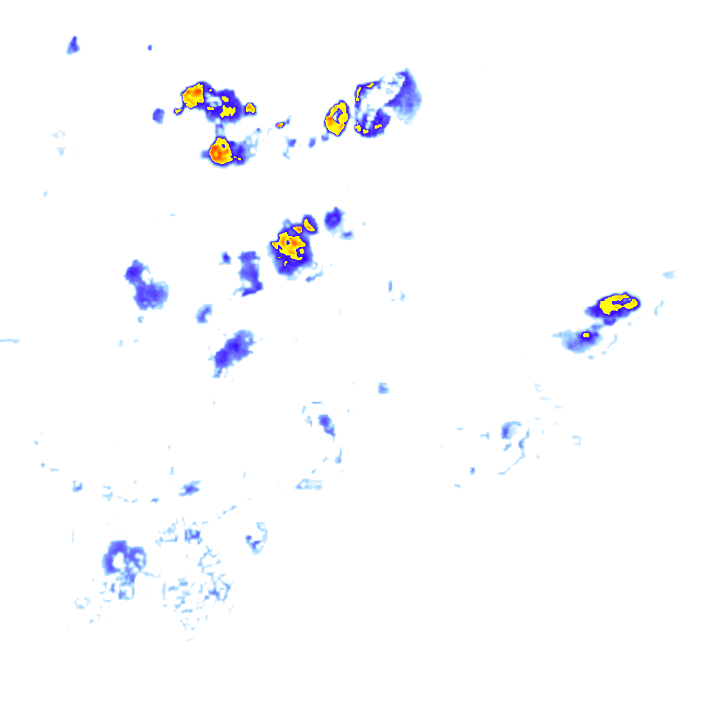 rainLayer